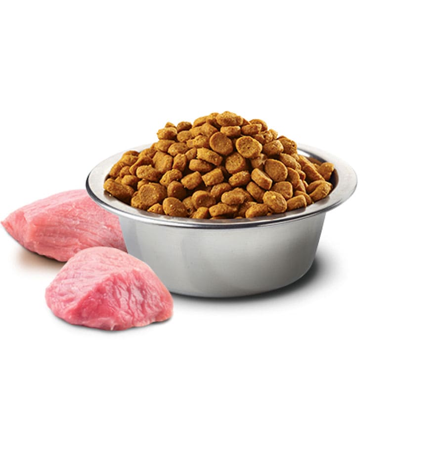 Farmina N&D Pumpkin Grain Free Dry Dog Food, Lamb & blueberry